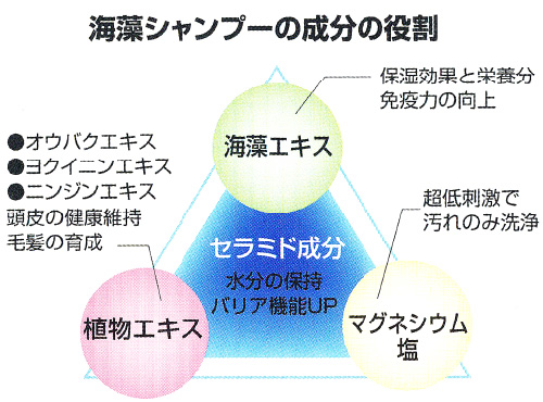 海藻シャンプーの成分の役割